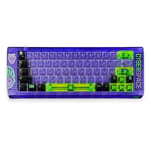 Onewin PBT/PC-Tastenkappen, Sublimationsdruck-Tastenkappen 60, 65, 75, 100 %, OEM-Profil, 131–171 Tasten, buntes Design für Cherry Gateron MX Switche Tastatur (transparent, blaue Küste, 171 Tasten) von Onewin