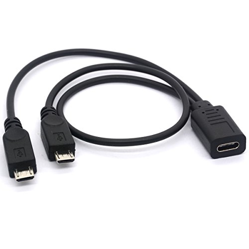 OpenII USB 2.0 Typ C Buchse auf Dual Micro USB Stecker Splitterkabel (2 Micro USB Splitter Verlängerungskabel 30,5 cm / 20,3 cm) – 30,3 cm von OpenII