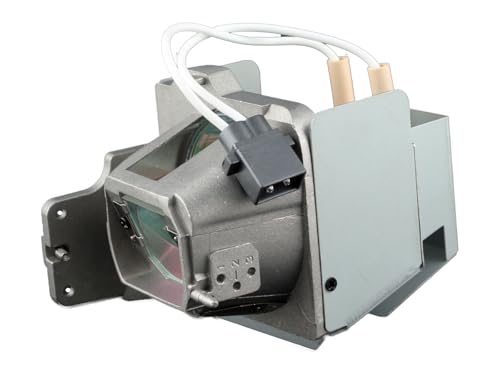 Optoma SP.7FM01GC01 Original Ersatzlampe für HD29HST von Optoma
