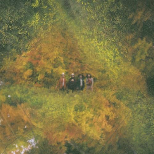 Au Revoir Cowboys [Vinyl LP] von Orchard