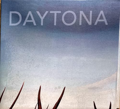 Daytona von Orchard