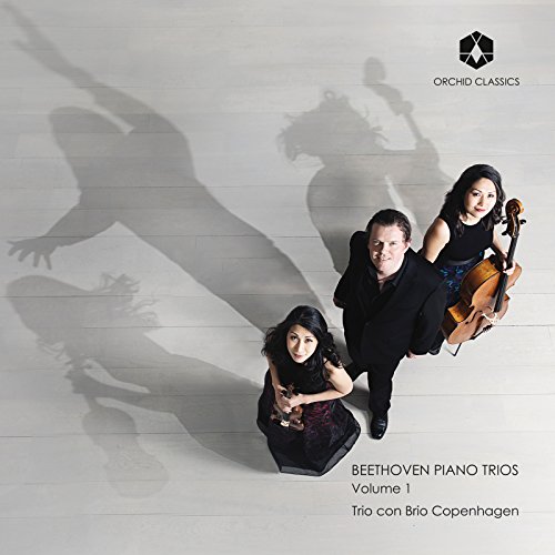 Beethoven Klaviertrios Vol.1 von ORCHID