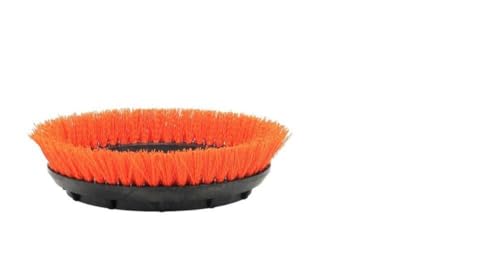 Oreck 237047 Bürste, 30,5 cm, Borstendurchmesser, Polypropylen, 26,7 cm, Orange von Oreck