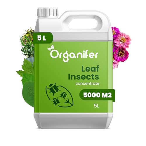 Blattinsekten-Konzentrat (5 L) von Organifer
