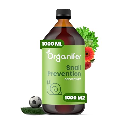 Konzentrat - Schnecken - Nacktschnecken - 1 L Für 1000 M2 - Ungiftig - Gartenpflege - Gesunde Pflanzen - Flüssigdünger - Gartendünger - Organifer Konzentrat - Schnecken - Nacktschnecken - 1 L Für 1000 M2 - Ungiftig - Gartenpflege - Gesunde Pflanzen - Flüssigdünger - Gartendünger - Organifer von Organifer