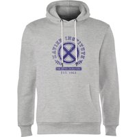 X-Men Xavier Institute For Gifted Youngsters Hoodie - Grey - M - Grey von Original Hero