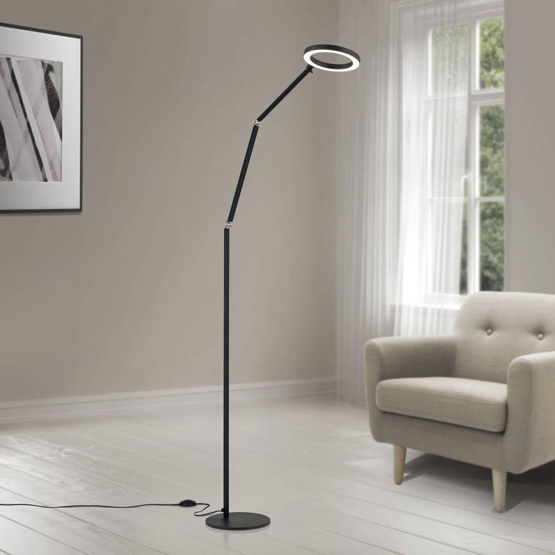 LED-Stehlampe Ringo, schwarz, Metall, verstellbar, dimmbar von Orion
