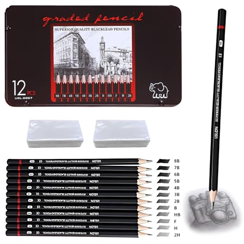 Ormromra 12 Stück Skizzienstifte, Bleistift Set mit 2 Weißer Radiergummi, Zeichenstifte Set (8B 7B 6B 5B 4B 3B 2B B HB F H 2H), Professionelle Bleistifte für Mädchen,Junge,Anfänger, Künstler von Ormromra