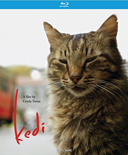 Kedi [Blu-ray] von Oscilloscope Laboratories