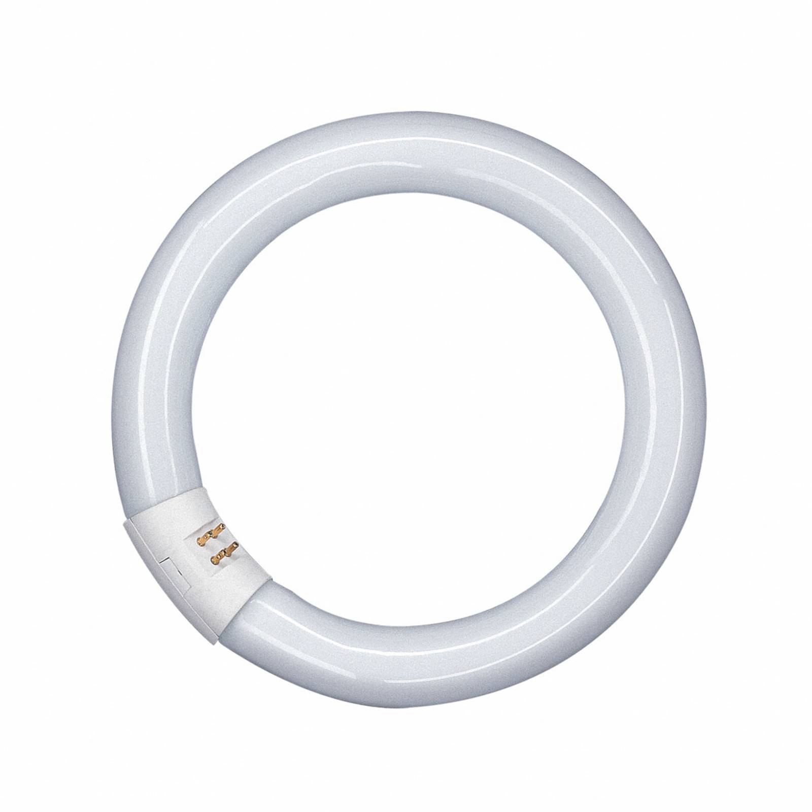 G10q 22W 865 Lumilux T9C Leuchtstoffring G10q 22W 865 Lumilux T9C Leuchtstoffring von Osram