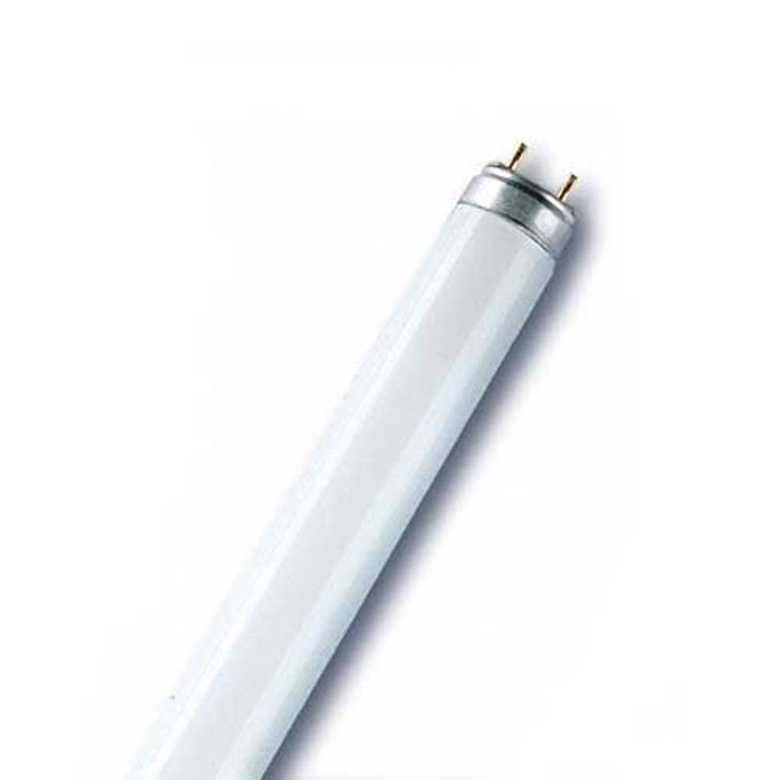 G13 T8 36W Fluora Pflanzen-Leuchtstoffröhre G13 T8 36W Fluora Pflanzen-Leuchtstoffröhre von Osram