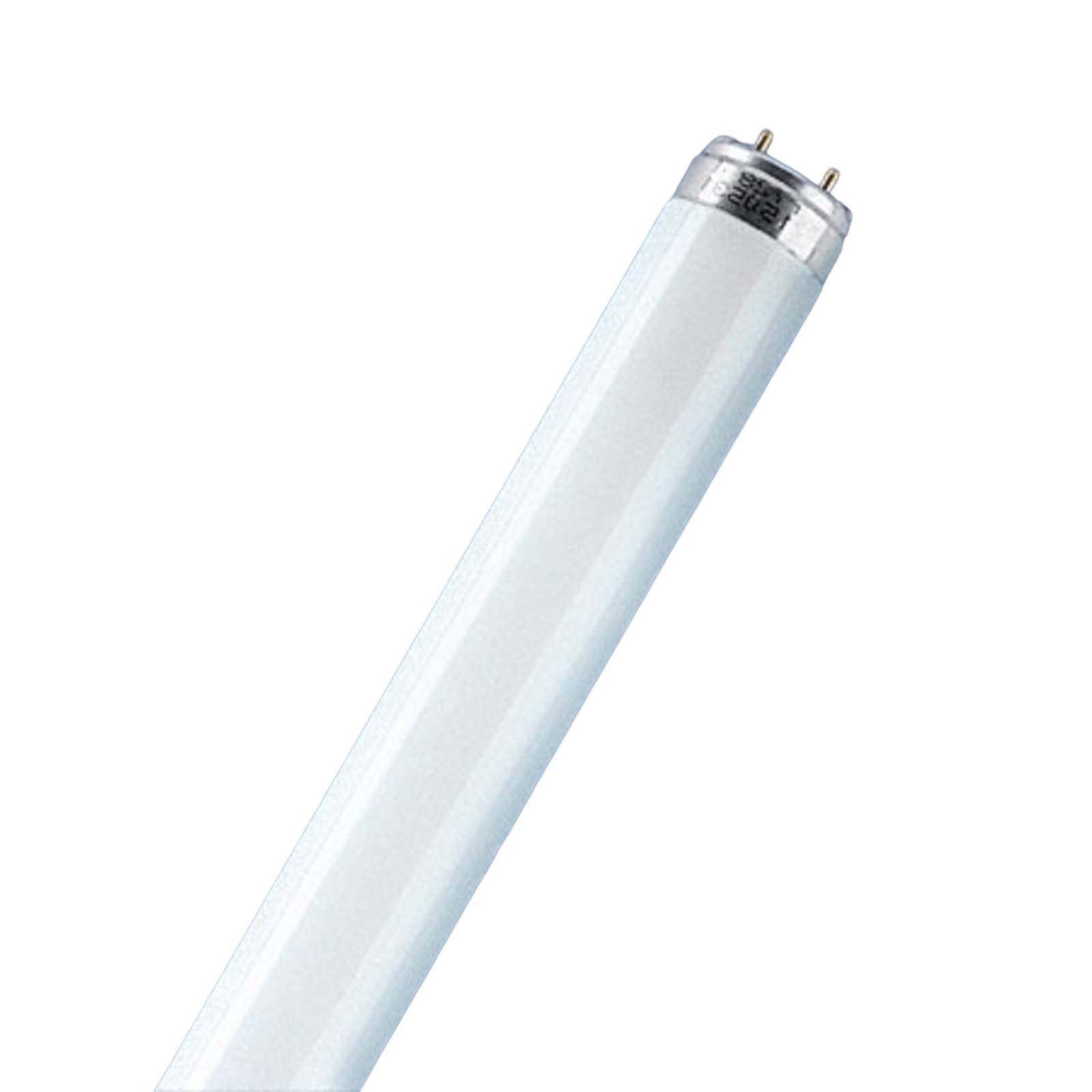 Leuchtstoffröhre G13 T8 18W 840 LUMILUX von Osram