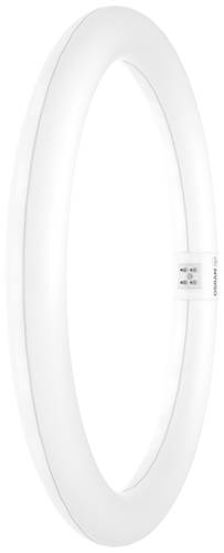 OSRAM LED EEK: E (A - G) G10q Ringform 18.3W = 32W Kaltweiß (Ø x H) 300mm x 300mm 1St. von Osram