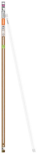OSRAM LED-Röhre EEK: A (A - G) G13 Röhrenform T8 10W = 36W Neutralweiß (Ø x H) 26.70mm x 26.70mm von Osram