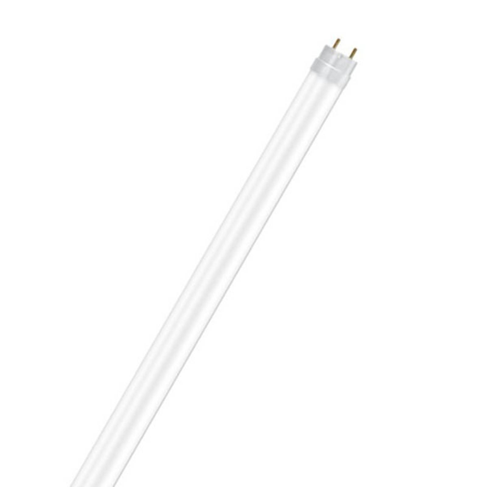 OSRAM LED-Röhre G13 T8 60cm SubstiTUBE 6,6W 3.000K OSRAM LED-Röhre G13 T8 60cm SubstiTUBE 6,6W 3.000K von Osram