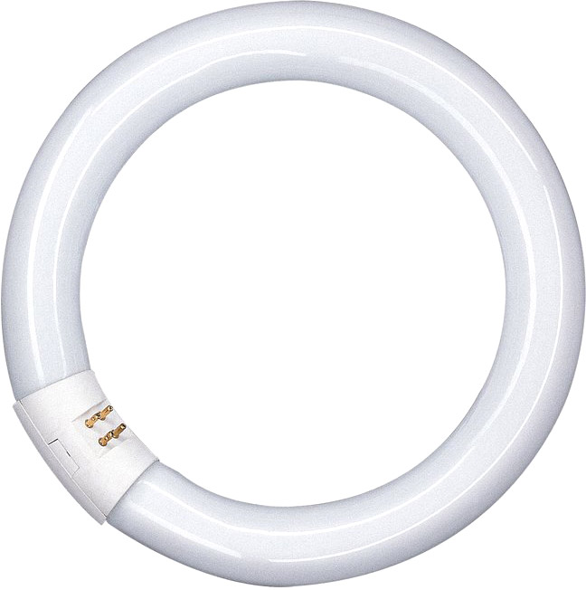 OSRAM LUMILUX® T9 C 22 W/865 G10Q von Osram