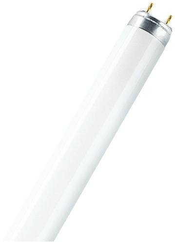 Osram Leuchtstoffröhre EEK: G (A - G) G13 36W Kaltweiß Röhrenform (Ø x L) 26mm x 1213.6mm von Osram