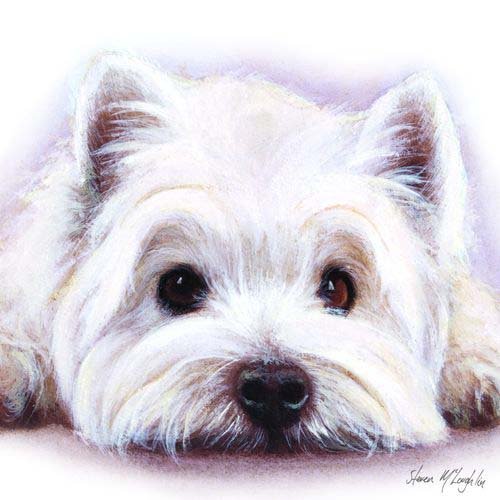 Watercolour West Highland White Terrier Karte - Square von Otter House Square Card
