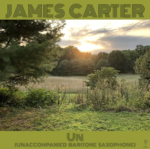 Un (Unaccompanied Baritone Saxophone) [Vinyl LP] von Outside in Music