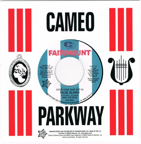 (Your Love Was Just a) False Alarm/The Way I Feel [Vinyl Single] von Outta Sight