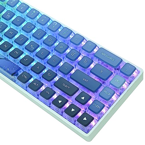 Owpkeenthy ASA Pudding-Tastenkappen-Set für Cherry Mx Gateron Kailh Switch für 60 % 65 % TKL Tastatur (Wal) von Owpkeenthy