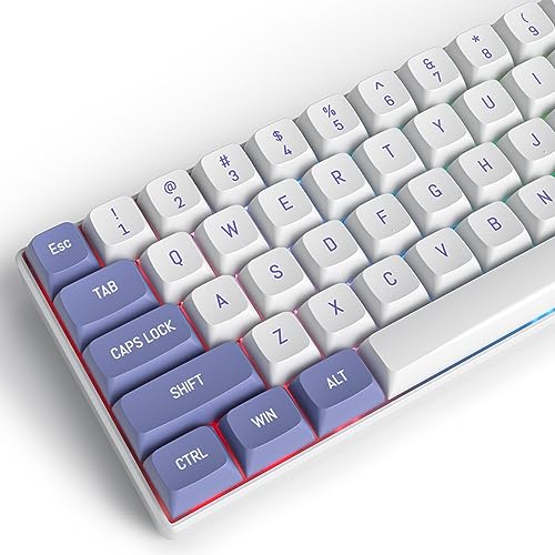 Owpkeenthy WHYSP CSA-Profil Tastenkappen-Set für 75 % Tastaturen, Double-Shot PBT minimalistisches Kugel-Design für mechanische Tastaturen mit MX-Schaltern, 60 %/65 %/75 %/TKL Layouts (Purple CSA) von Owpkeenthy