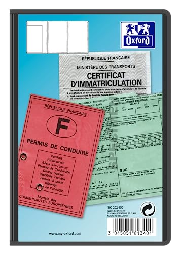 Elba - Boîte de 10 étuis de protection pour carte multi-papiers voiture - 6 faces 13,5 x 9 cm - 3 vo von Oxford