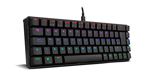 Ozone Mini Tastaur Gaming Tactical -OZTACTICALSP- Tastatur mechanische, ohne numerische Tastatur, Bluetooth, Switches Outemu Red, RGB-LED-Beleuchtung, geräuschlos, Spanisches QWERTY-Layout, Schwarz von Ozone Gaming Gear