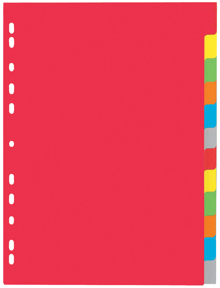 PAGNA Karton-Register, DIN A4, 12-teilig, 6-farbig von PAGNA