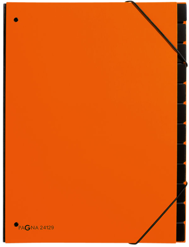 PAGNA Pultordner Trend, DIN A4, 12 Fächer, orange von PAGNA