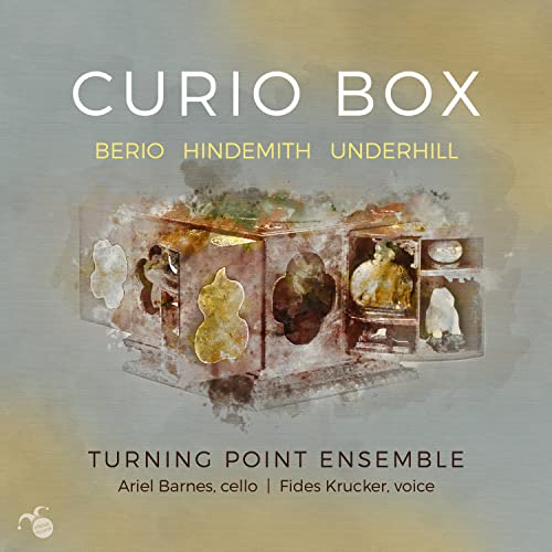 Curio Box von PALADINO MUSIC