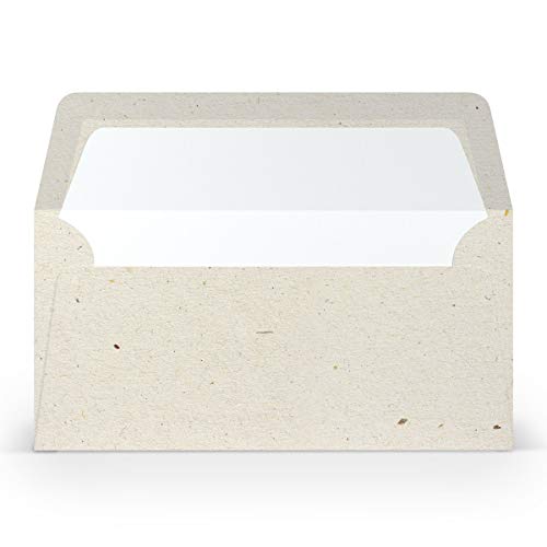 PAPERADO 300 Briefumschläge DIN lang/DL - Terra Vanilla Creme Beige - 100 g/m² Kuvert ohne Fenster 22 x 11 cm - Umschläge mit Nassklebung gerader Klappe von PAPERADO