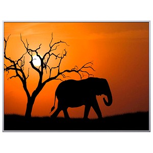 PAPERFLOW Wandbild Elefant von PAPERFLOW