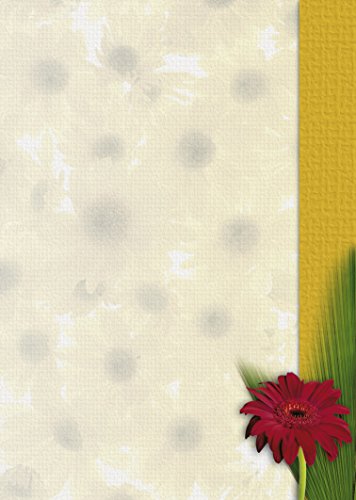 Briefpapier Gerbera | DP1857 | 25 Blatt DIN A4 | 90 g/m² | Motivpapier | Schreibpapier | Designpapier | Geburtstag | Einladung | Brief | Jubiläum | Liebesbrief | Blume von PAPIERSACHSE.DE