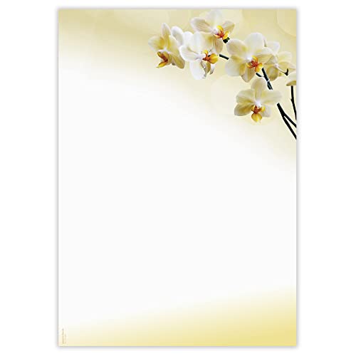 Briefpapier Orchidee hell, DP850, 50 Blatt DIN A4, 90 g/m², Motivpapier, Schreibpapier, Designpapier, Blumenmotiv, Geburtstag, Einladung, Brief, Jubiläum, Danke, Blumen von PAPIERSACHSE.DE