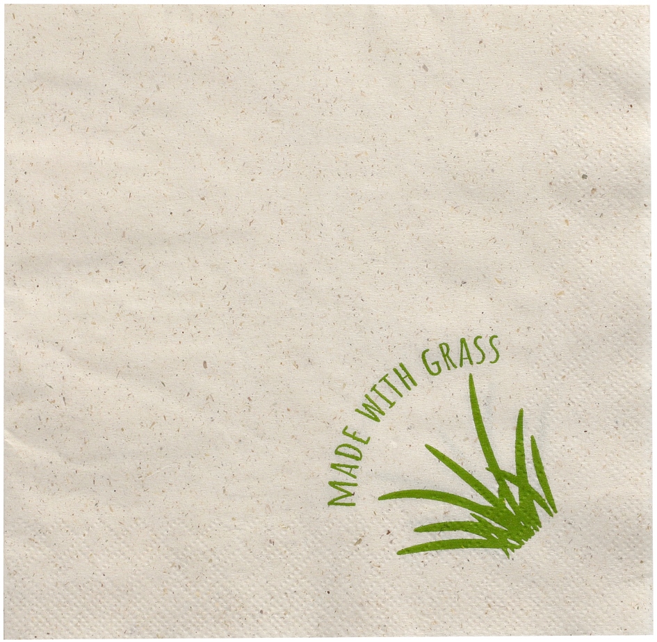 PAPSTAR Lunch-Servietten, 330 x 330 mm, 2-lagig, natur von PAPSTAR