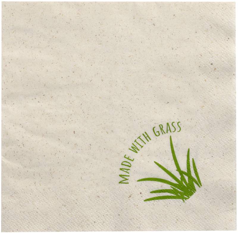 PAPSTAR Lunch-Servietten, 330 x 330 mm, 2-lagig, natur von PAPSTAR