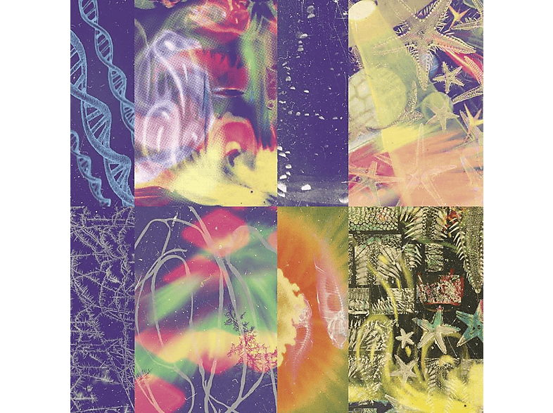 Nap Eyes - The Neon Gate (Vinyl) von PARADISE O