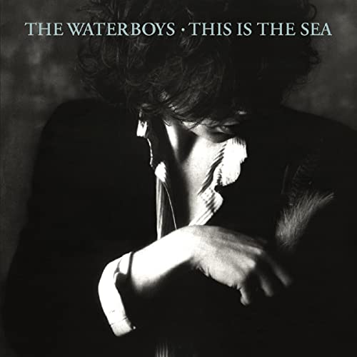 This Is the Sea [Vinyl LP] von PARLOPHONE