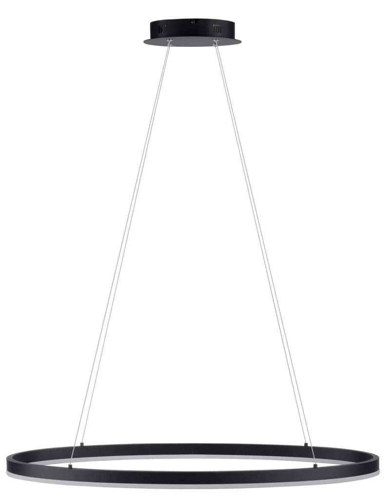 PAUL NEUHAUS LED-Pendelleuchte 2392-13 anthrazit, 38 W, 5150 lm, 3000 K von PAUL NEUHAUS