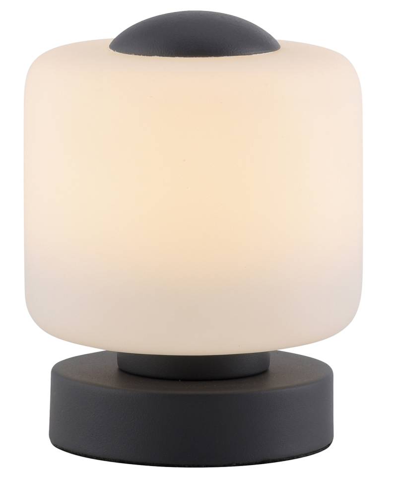 PAUL NEUHAUS LED-Tischleuchte 4037-13 anthrazit, 5 W, 580 lm, 3000 K von PAUL NEUHAUS