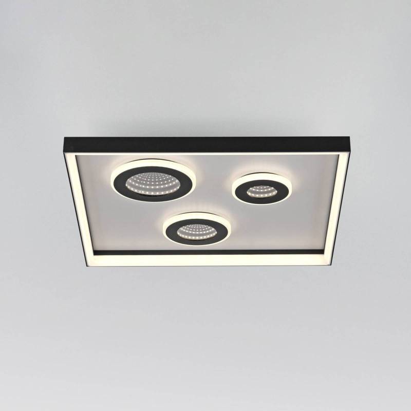 Paul Neuhaus LED-Deckenlampe Dune, 45 cm, schwarz, CCT, dim. von PAUL NEUHAUS