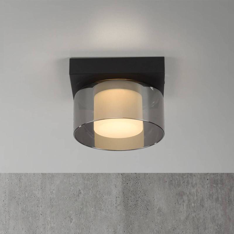 Paul Neuhaus LED-Deckenlampe Rika, Ø 15 cm, Glas, dimmbar von PAUL NEUHAUS