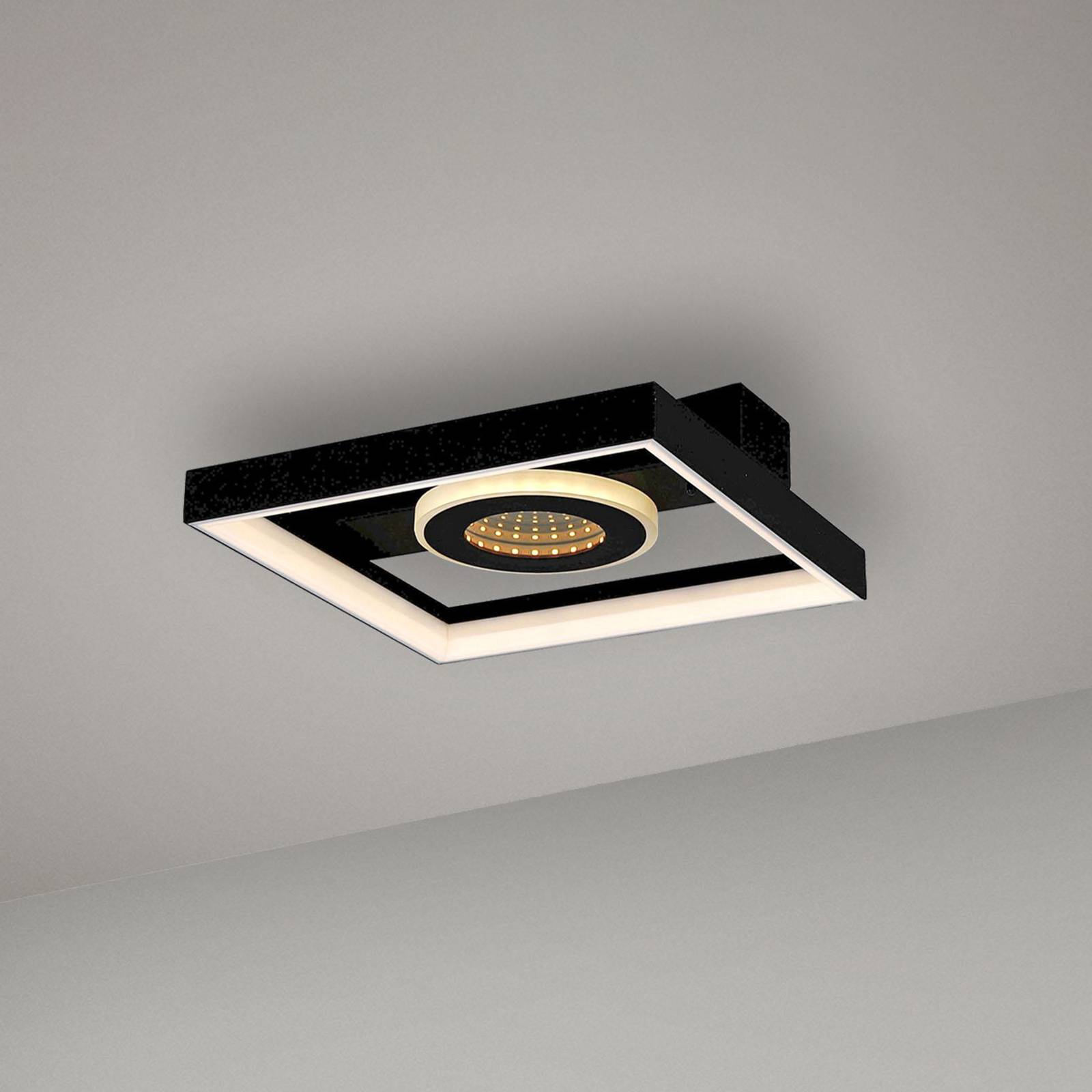 Paul Neuhaus LED-Deckenlampe Traforo, 25 cm, CCT, dimmbar Paul Neuhaus LED-Deckenlampe Traforo, 25 cm, CCT, dimmbar von PAUL NEUHAUS