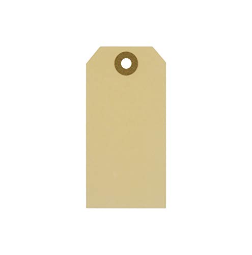 1.000 Manila-Etiketten Kartonetiketten einzeln ohne Faden beige-braun | PB-Onlinehandel (100x50mm) von PB-Onlinehandel
