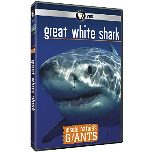 Inside Nature's Giants: Great White Shark [DVD] [Region 1] [NTSC] [US Import] von PBS (DIRECT)