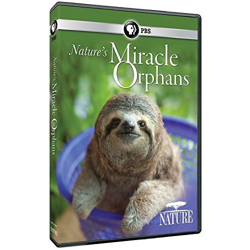 Nature: Nature's Miracle Orphans [DVD] [Import] von PBS (DIRECT)
