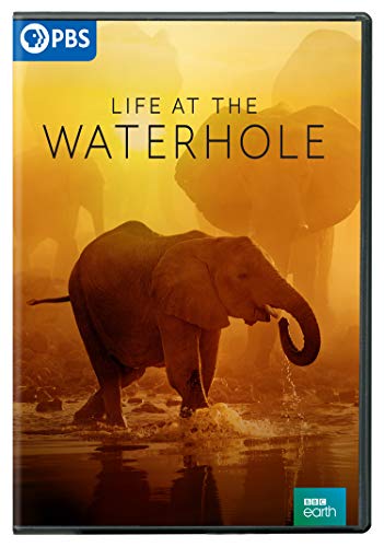 Life at the Waterhole DVD von PBS (Direct)