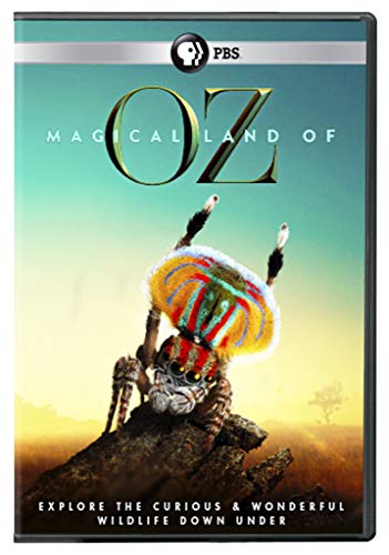 Magical Land of Oz DVD [Region Free] von PBS (Direct)