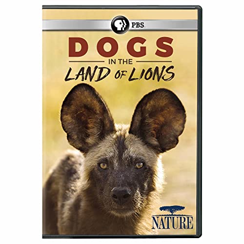 NATURE: Dogs in the Land of Lions DVD von PBS (Direct)